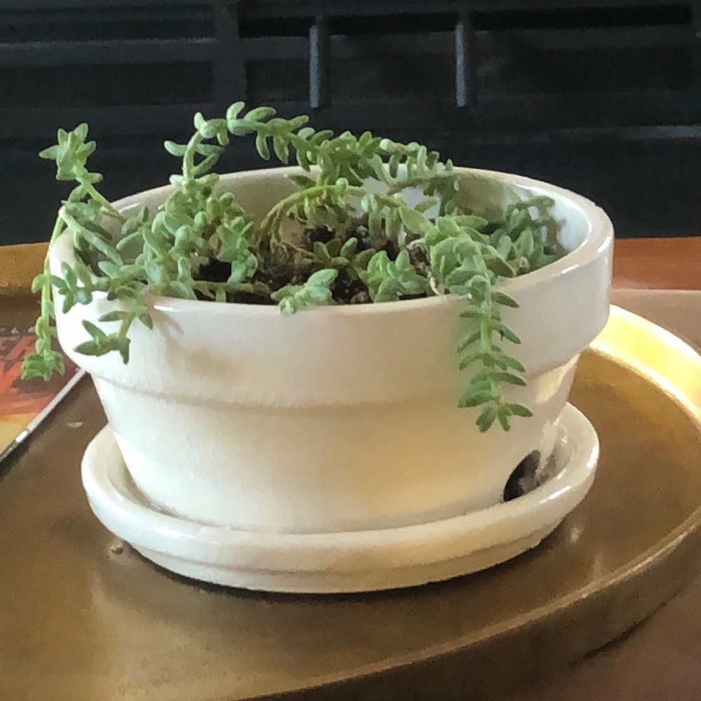 Meet your Posher, Kerrie